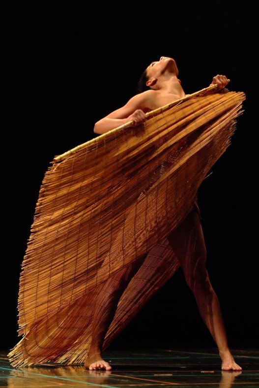 A Kibbutz Dance Company 5.JPG